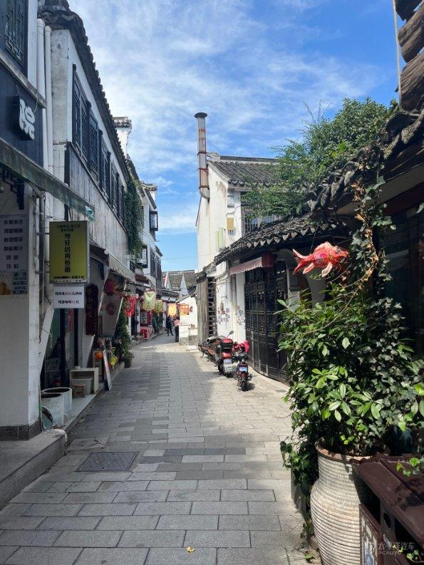 加入连打两个喷嚏是有人在骂你吗?知识星球,掌握专业知识